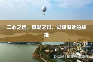 二心之选，真爱之辩，灵魂深处的抉择