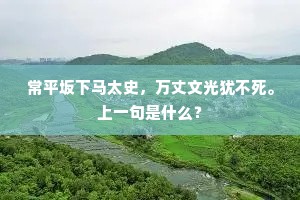 常平坂下马太史，万丈文光犹不死。上一句是什么？