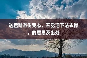 送君斯游伤我心，不觉泪下沾衣襟。的意思及出处