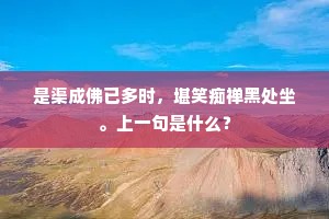 是渠成佛已多时，堪笑痴禅黑处坐。上一句是什么？