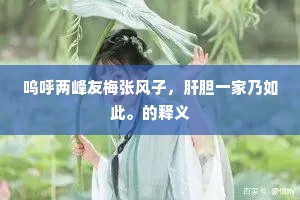 呜呼两峰友梅张风子，肝胆一家乃如此。的释义