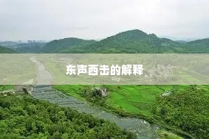 东声西击的解释