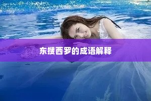东搜西罗的成语解释