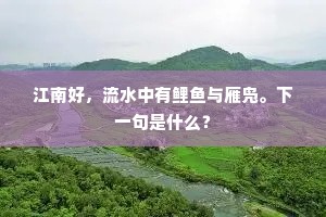 江南好，流水中有鲤鱼与雁凫。下一句是什么？