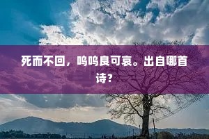 死而不回，呜呜良可哀。出自哪首诗？