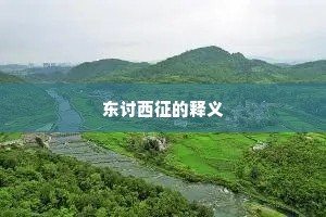 东讨西征的释义