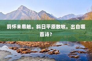 羁怀未易触。斜日平原散牧。出自哪首诗？