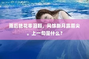 雨后艳花零泪颗，风馀新月露眉尖。上一句是什么？