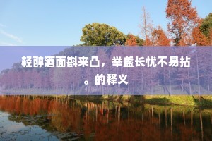轻醇酒面斟来凸，举盏长忧不易拈。的释义