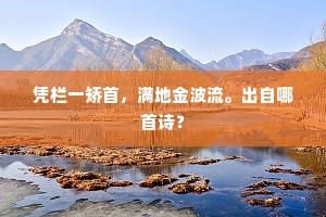 凭栏一矫首，满地金波流。出自哪首诗？