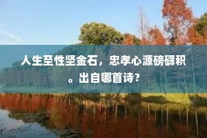 人生至性坚金石，忠孝心源磅礴积。出自哪首诗？