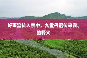 好事流传入禁中，九重丹诏传来霎。的释义
