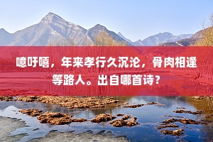 噫吁嘻，年来孝行久沉沦，骨肉相逢等路人。出自哪首诗？