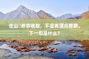 住山鈯斧劳收取，不是青源众兽麟。下一句是什么？