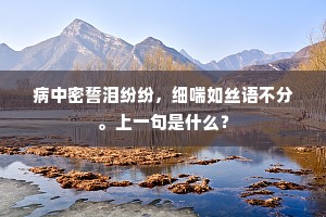 病中密誓泪纷纷，细喘如丝语不分。上一句是什么？