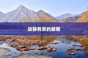 动静有常的解释