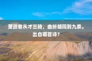 萧疏客从才三骑，曲折胡同到九条。出自哪首诗？