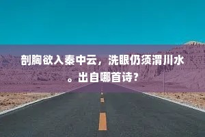 剖胸欲入秦中云，洗眼仍须渭川水。出自哪首诗？