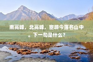 南高峰，北高峰，宦游今落名山中。下一句是什么？