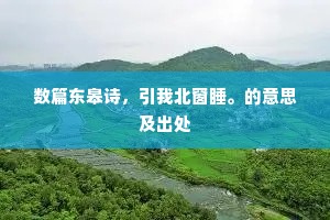 数篇东皋诗，引我北窗睡。的意思及出处