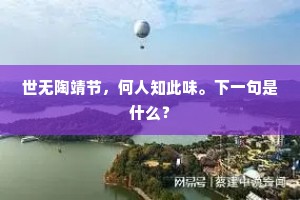 世无陶靖节，何人知此味。下一句是什么？