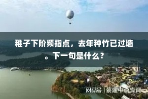 稚子下阶频指点，去年种竹已过墙。下一句是什么？
