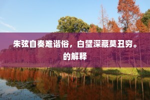 朱弦自奏难谐俗，白璧深藏莫丑穷。的解释
