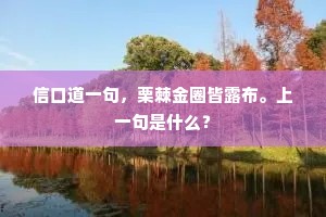 信口道一句，栗棘金圈皆露布。上一句是什么？