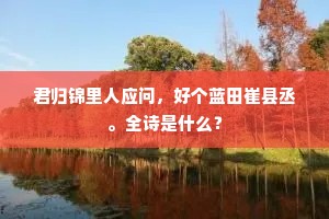 君归锦里人应问，好个蓝田崔县丞。全诗是什么？