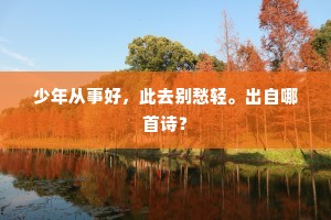 少年从事好，此去别愁轻。出自哪首诗？