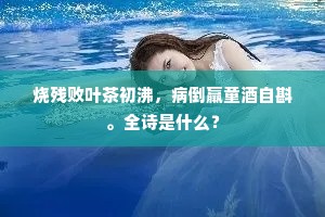 烧残败叶茶初沸，病倒羸童酒自斟。全诗是什么？