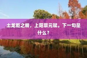 土龙乾之精，上阳禀元赋。下一句是什么？