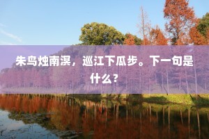 朱鸟烛南溟，巡江下瓜步。下一句是什么？