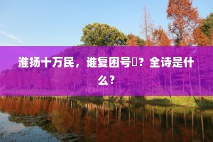 淮扬十万民，谁复困号謼？全诗是什么？