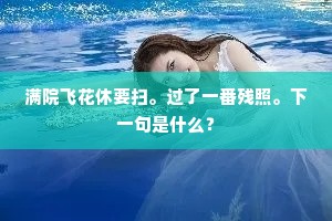 满院飞花休要扫。过了一番残照。下一句是什么？