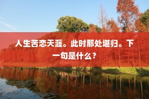人生苦恋天涯。此时那处堪归。下一句是什么？