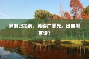 异时归捣药，莫碍广寒光。出自哪首诗？