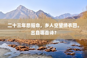 二十三年悲短命，乡人空望绣衣回。出自哪首诗？