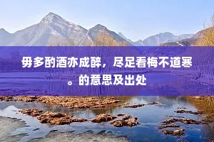 毋多酌酒亦成醉，尽足看梅不道寒。的意思及出处