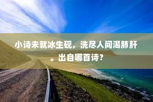 小诗未就冰生砚，洗尽人间渴肺肝。出自哪首诗？
