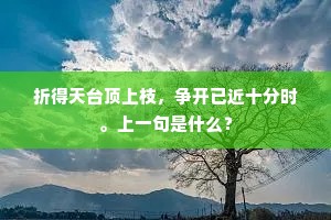 折得天台顶上枝，争开已近十分时。上一句是什么？
