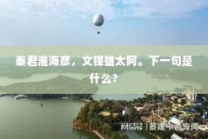秦君淮海彦，文锋雄太阿。下一句是什么？