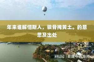 年来谁解惜斯人，骏骨掩黄土。的意思及出处