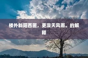 楼外斜阳西匿，更漫天风雨。的解释