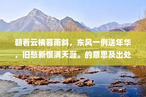 朝看云横暮雨斜，东风一例送年华，旧愁新恨满天涯。的意思及出处