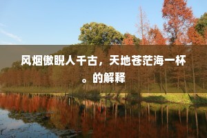 风烟傲睨人千古，天地苍茫海一杯。的解释