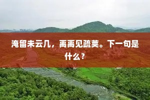 淹留未云几，离离见疏荚。下一句是什么？