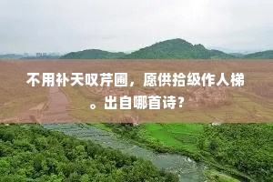 不用补天叹芹圃，愿供拾级作人梯。出自哪首诗？
