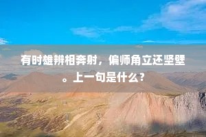 有时雄辨相奔射，偏师角立还坚壁。上一句是什么？