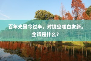百年光景今过半，对镜空嗟白发新。全诗是什么？